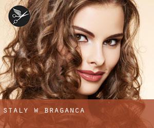 Stały w Bragança Stały w Bragança