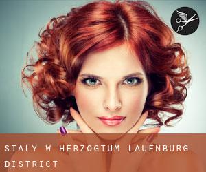 Stały w Herzogtum Lauenburg District Stały w Herzogtum Lauenburg District