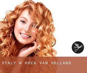 Stały w Hoek van Holland