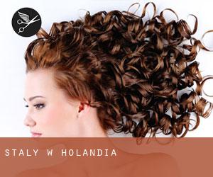 Stały w Holandia Stały w Holandia