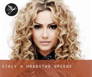 Stały w Hrabstwo Greene Stały w Hrabstwo Greene