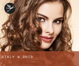 Stały w Ohio Stały w Ohio