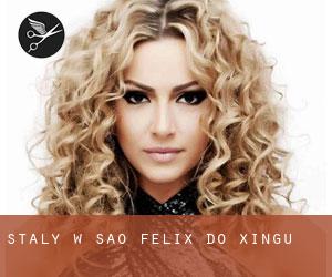 Stały w São Félix do Xingu Stały w São Félix do Xingu