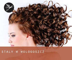 Stały w Wologoszcz Stały w Wologoszcz