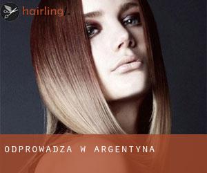 Odprowadza w Argentyna Odprowadza w Argentyna