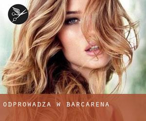 Odprowadza w Barcarena Odprowadza w Barcarena