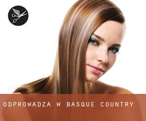 Odprowadza w Basque Country