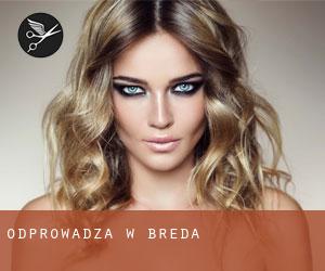 Odprowadza w Breda Odprowadza w Breda