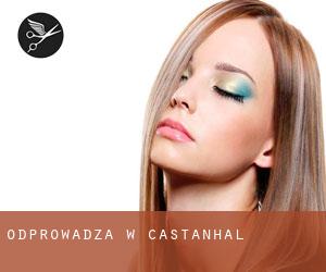 Odprowadza w Castanhal Odprowadza w Castanhal