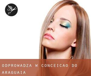 Odprowadza w Conceição do Araguaia Odprowadza w Conceição do Araguaia