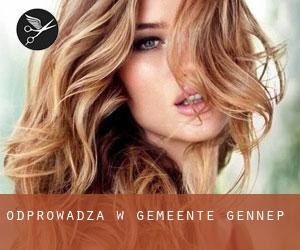 Odprowadza w Gemeente Gennep Odprowadza w Gemeente Gennep