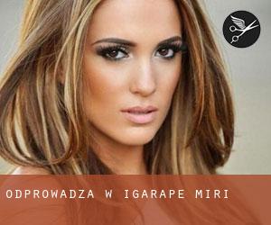 Odprowadza w Igarapé-Miri Odprowadza w Igarapé-Miri