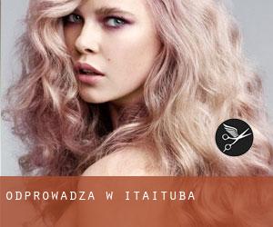 Odprowadza w Itaituba Odprowadza w Itaituba