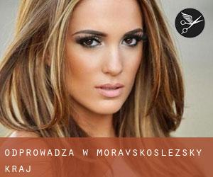 Odprowadza w Moravskoslezský Kraj Odprowadza w Moravskoslezský Kraj