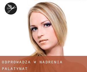 Odprowadza w Nadrenia-Palatynat Odprowadza w Nadrenia-Palatynat