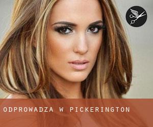 Odprowadza w Pickerington Odprowadza w Pickerington