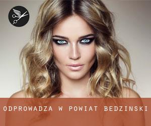 Odprowadza w Powiat będziński Odprowadza w Powiat będziński