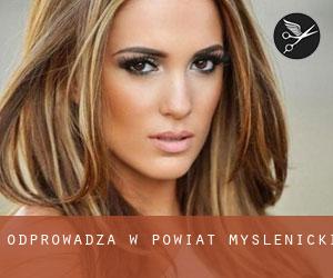 Odprowadza w Powiat myślenicki Odprowadza w Powiat myślenicki