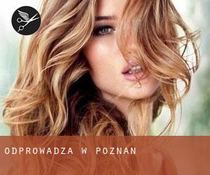 Odprowadza w Poznań Odprowadza w Poznań