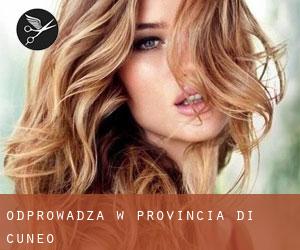 Odprowadza w Provincia di Cuneo Odprowadza w Provincia di Cuneo