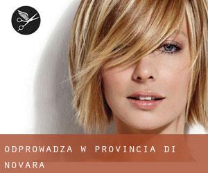 Odprowadza w Provincia di Novara Odprowadza w Provincia di Novara