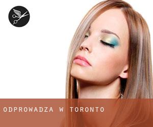 Odprowadza w Toronto Odprowadza w Toronto