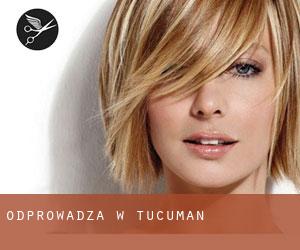 Odprowadza w Tucumán Odprowadza w Tucumán