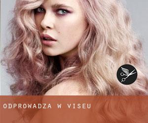 Odprowadza w Viseu Odprowadza w Viseu