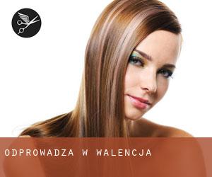 Odprowadza w Walencja Odprowadza w Walencja