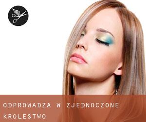 Odprowadza w Zjednoczone Królestwo Odprowadza w Zjednoczone Królestwo