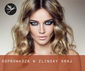 Odprowadza w Zlínský Kraj Odprowadza w Zlínský Kraj