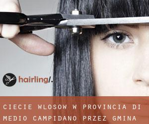 cięcie włosów w Provincia di Medio Campidano przez gmina - strona 1