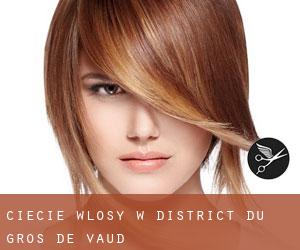 cięcie włosy w District du Gros-de-Vaud