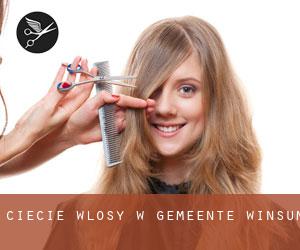 cięcie włosy w Gemeente Winsum