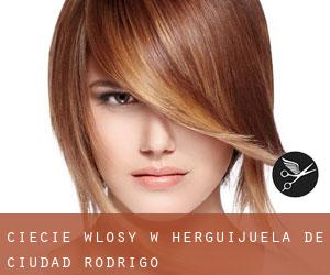 cięcie włosy w Herguijuela de Ciudad Rodrigo