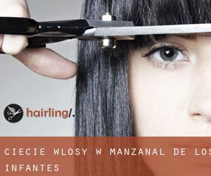 cięcie włosy w Manzanal de los Infantes