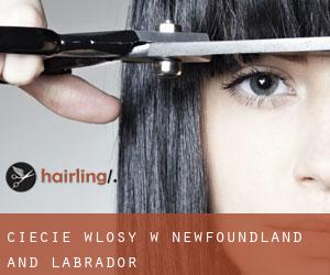 cięcie włosy w Newfoundland and Labrador