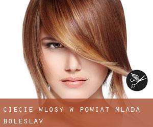 cięcie włosy w Powiat Mladá Boleslav