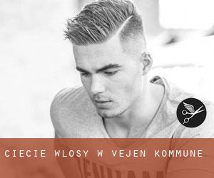 cięcie włosy w Vejen Kommune cięcie włosy w Vejen Kommune