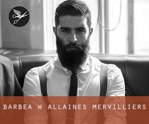 Barbea w Allaines-Mervilliers