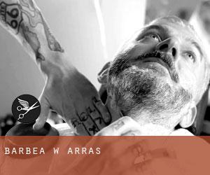 Barbea w Arras Barbea w Arras