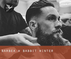 Barbea w Babbit Winter