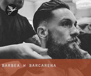 Barbea w Barcarena Barbea w Barcarena