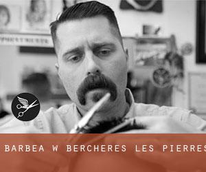Barbea w Berchères-les-Pierres