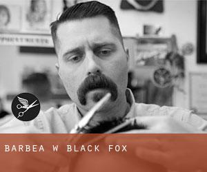 Barbea w Black Fox