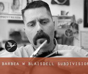 Barbea w Blaisdell Subdivision