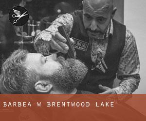 Barbea w Brentwood Lake