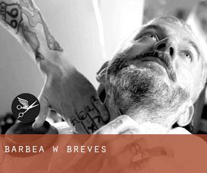 Barbea w Breves Barbea w Breves
