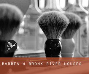 Barbea w Bronx River Houses