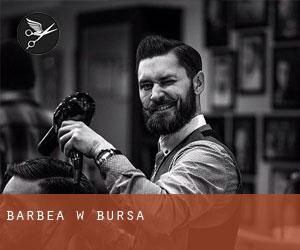 Barbea w Bursa